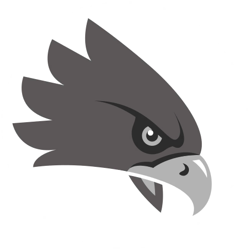 Hawk artwork