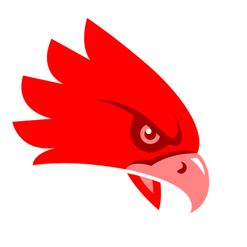 Hawk artwork