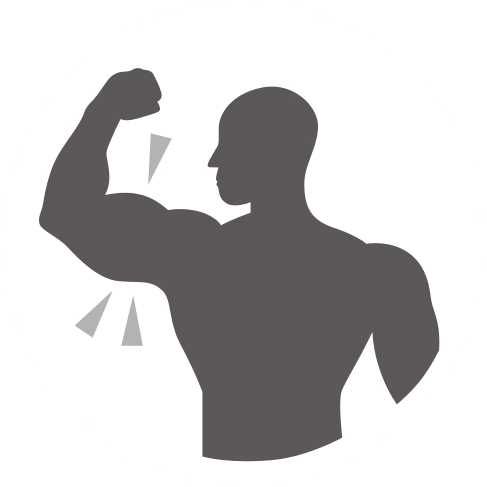 Muscle artwork